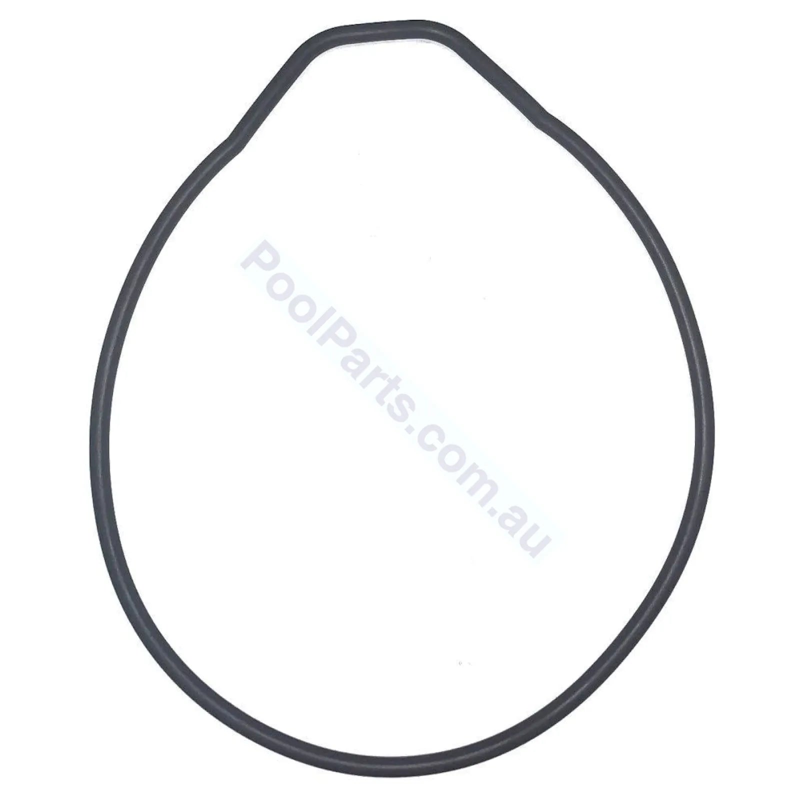 Astralpool Pump Body O-Ring / Gasket