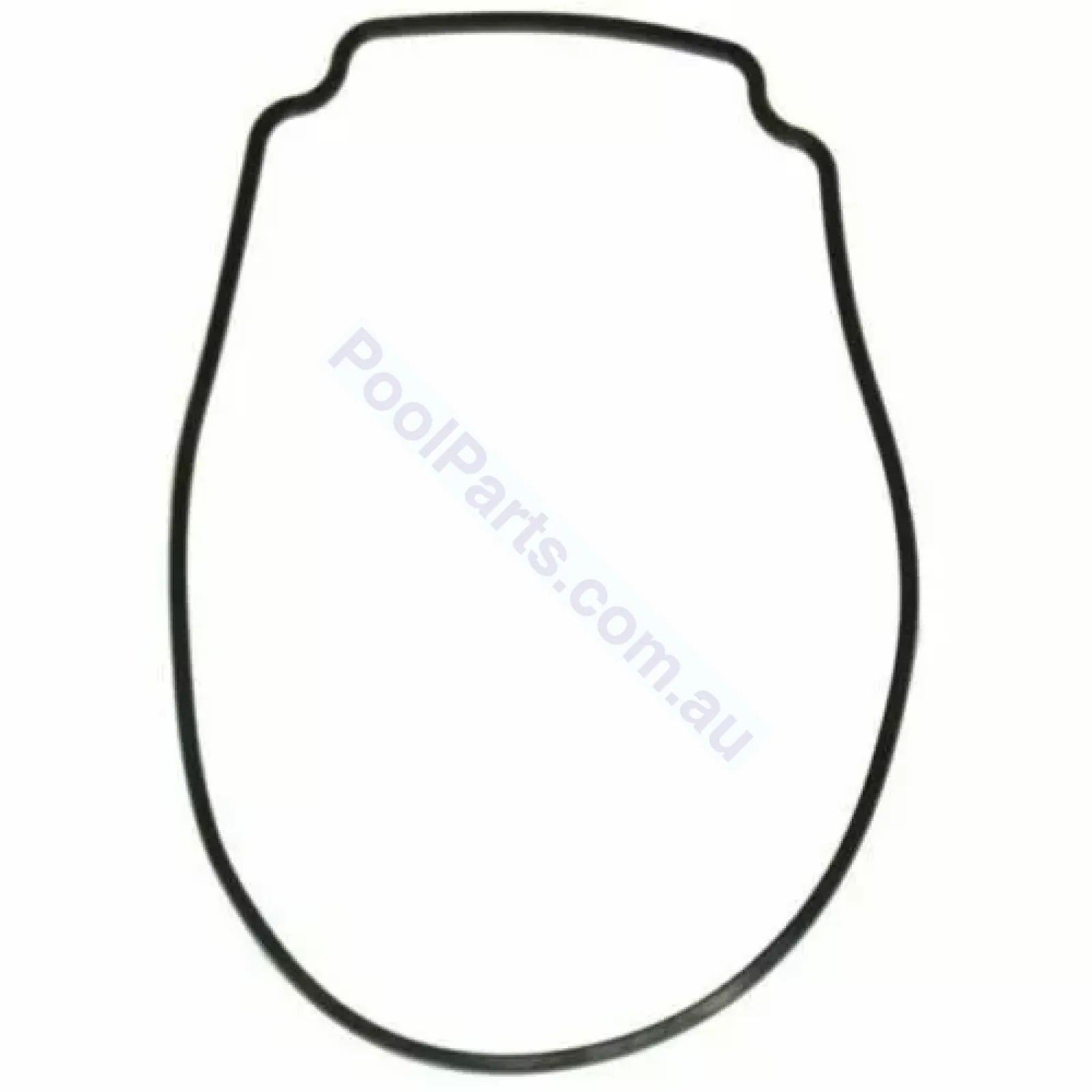 Astralpool Pump Body O-Ring / Gasket Pre 2019 Ctx | E Style Viron Xtpre Xt