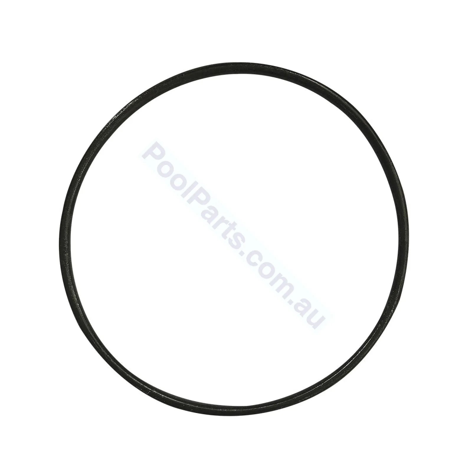 Astralpool Bx / P300 P600 Lid O-Ring Seal