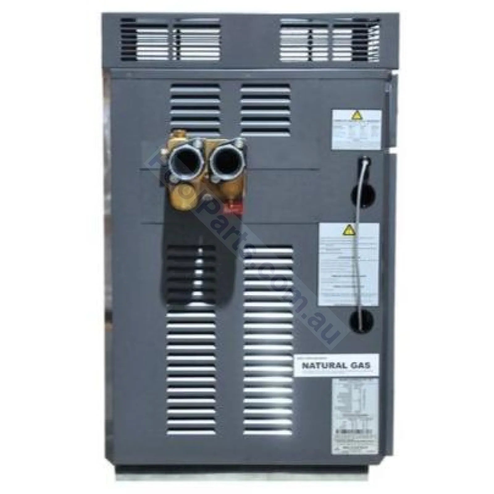 Raypak Premium 430 Gas Pool & Spa Heater - Commercial - Heater and Spa Parts